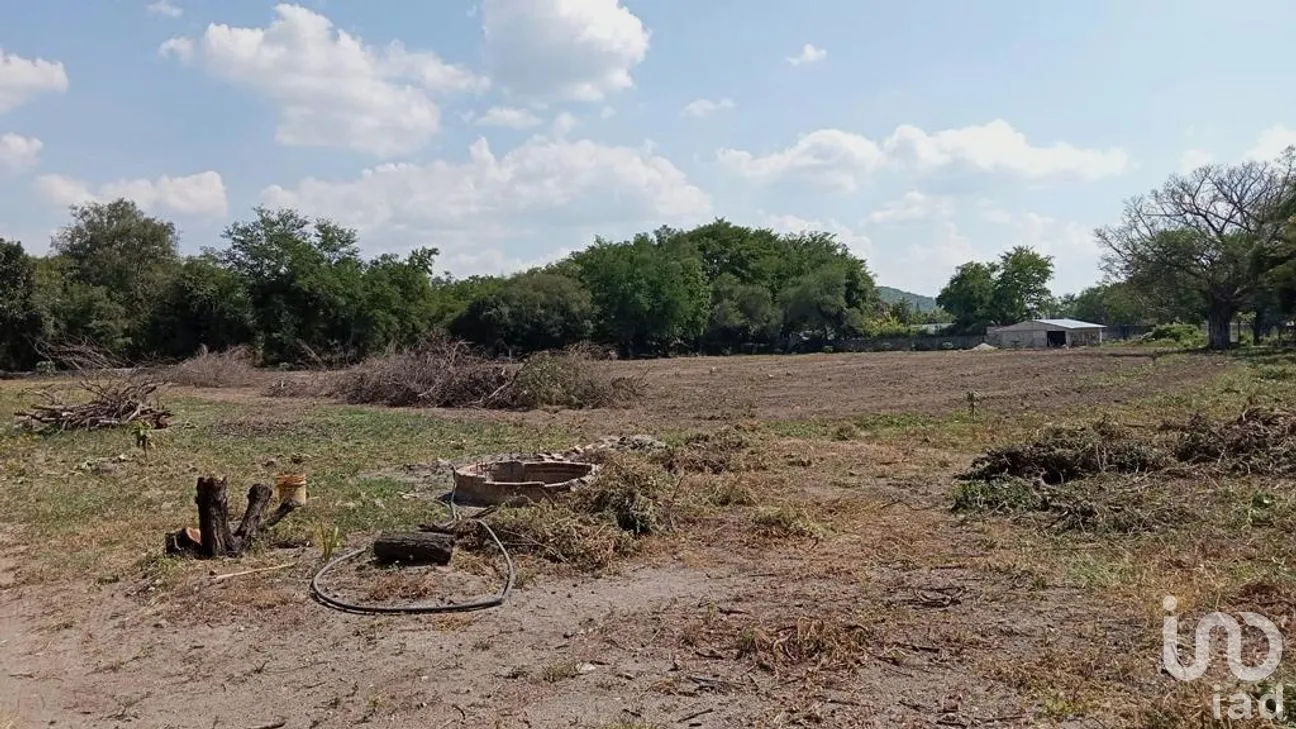 Terreno en Venta en Ticumán, Tlaltizapán de Zapata, Morelos | NEX-188909 | iad México | Foto 3 de 6