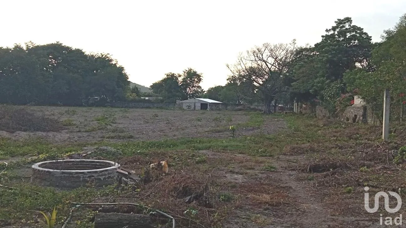 Terreno en Venta en Ticumán, Tlaltizapán de Zapata, Morelos | NEX-188909 | iad México | Foto 4 de 6