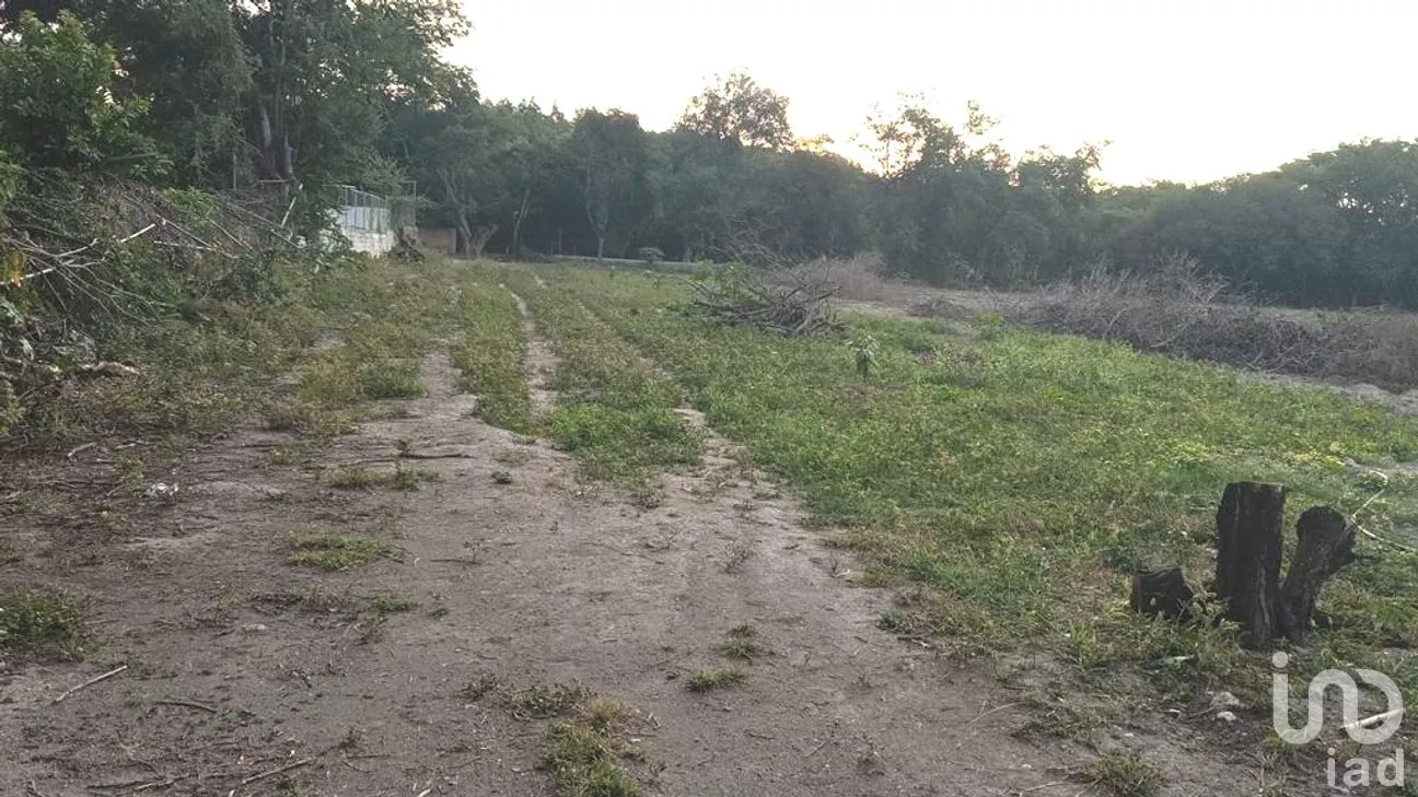 Terreno en Venta en Ticumán, Tlaltizapán de Zapata, Morelos | NEX-188909 | iad México | Foto 5 de 6