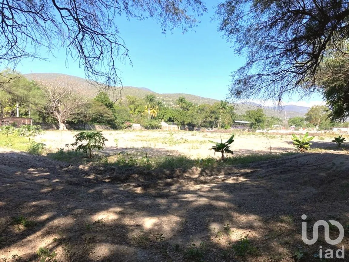 Terreno en Venta en Ticumán, Tlaltizapán de Zapata, Morelos | NEX-188909 | iad México | Foto 6 de 6