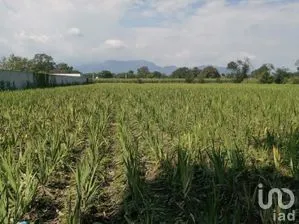 NEX-188909 - Terreno en Venta, con 4 recamaras, con 3 baños en Ticumán, CP 62773, Morelos.