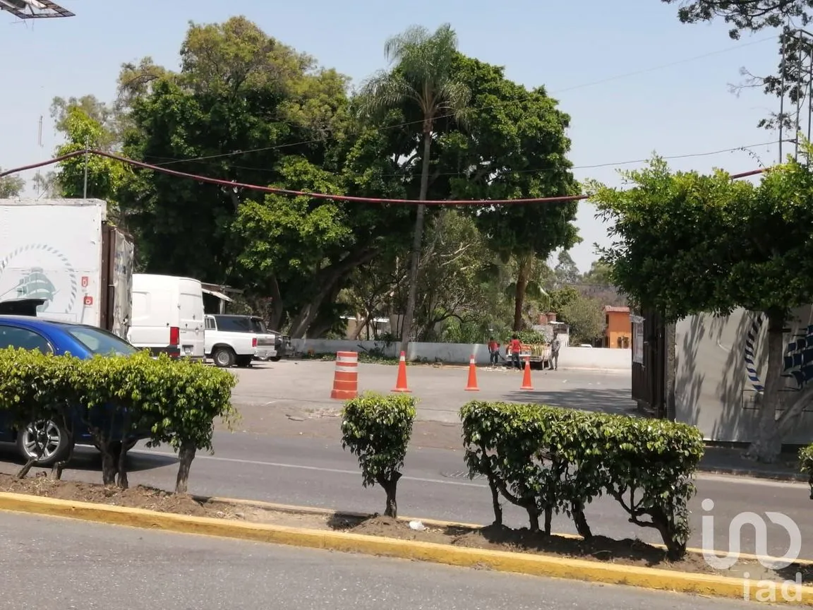 Terreno en Renta en Bellavista, Cuernavaca, Morelos | NEX-203308 | iad México | Foto 6 de 10