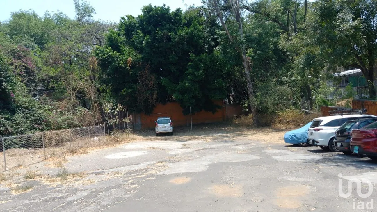 Terreno en Renta en Bellavista, Cuernavaca, Morelos | NEX-203308 | iad México | Foto 13 de 17