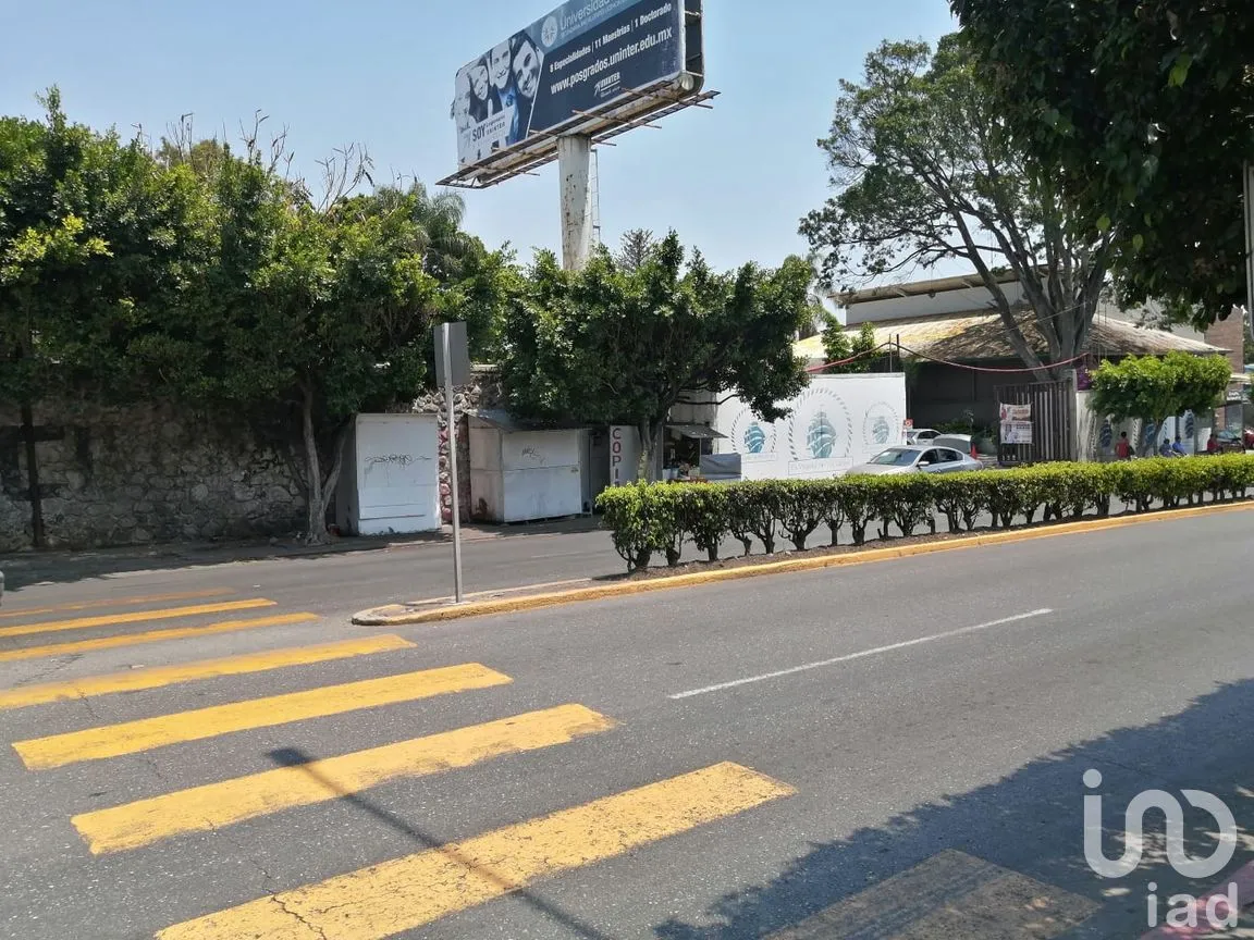 Terreno en Renta en Bellavista, Cuernavaca, Morelos | NEX-203308 | iad México | Foto 6 de 17