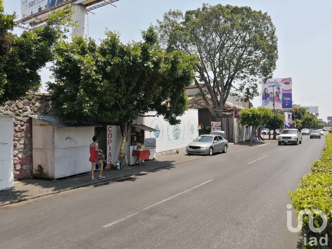 Terreno en Renta en Bellavista, Cuernavaca, Morelos | NEX-203308 | iad México | Foto 7 de 17