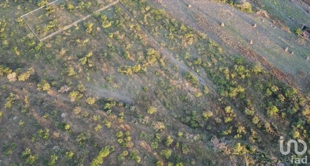 Terreno en Venta en El Vegil, Huimilpan, Querétaro | NEX-222025 | iad México | Foto 5 de 17
