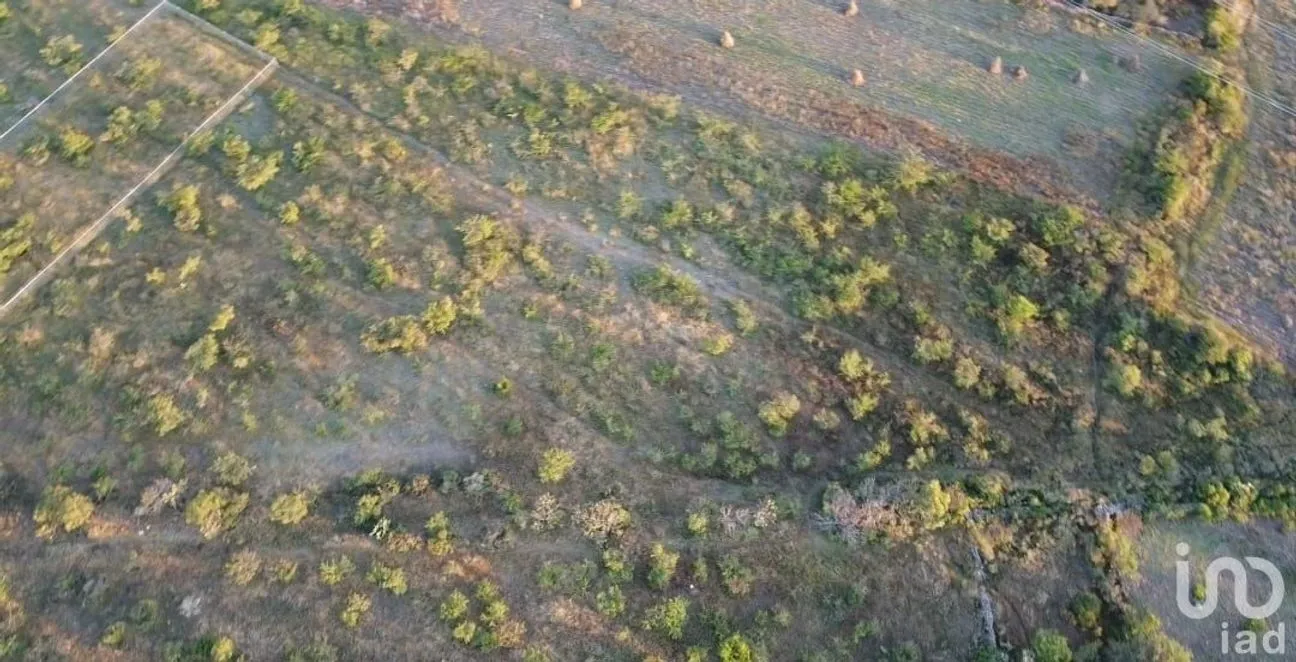 Terreno en Venta en El Vegil, Huimilpan, Querétaro | NEX-222025 | iad México | Foto 6 de 17