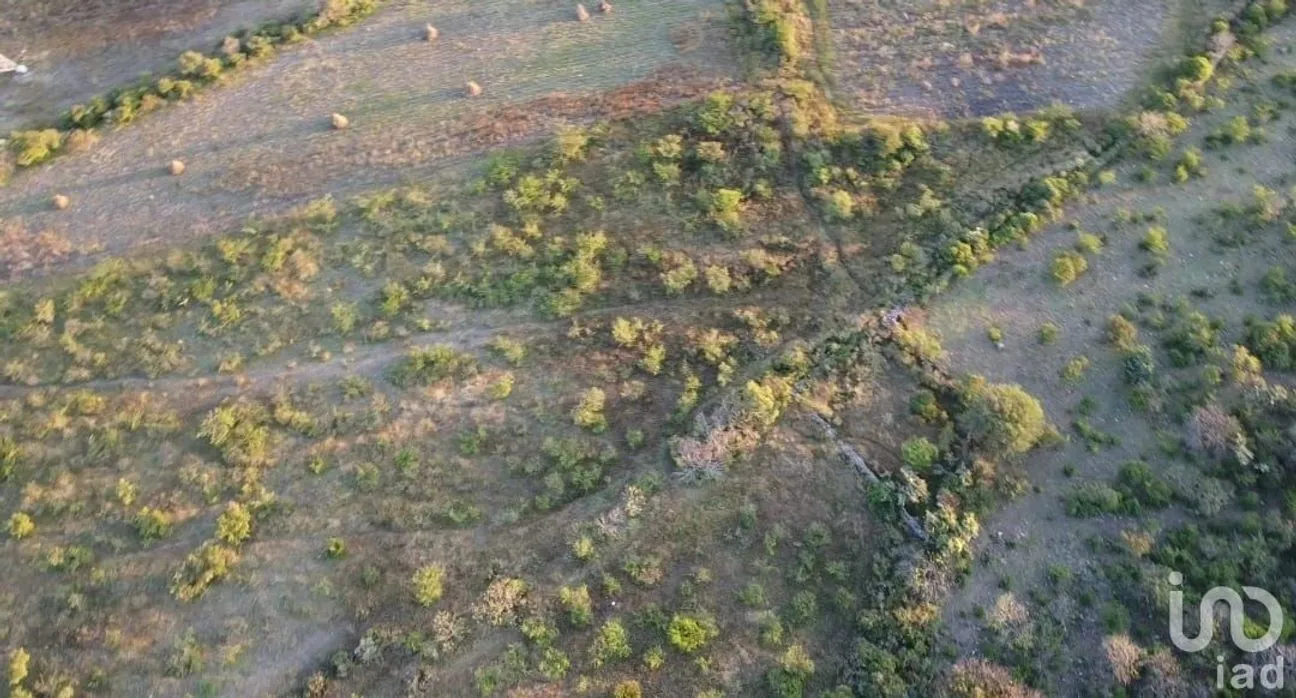 Terreno en Venta en El Vegil, Huimilpan, Querétaro | NEX-222025 | iad México | Foto 7 de 17