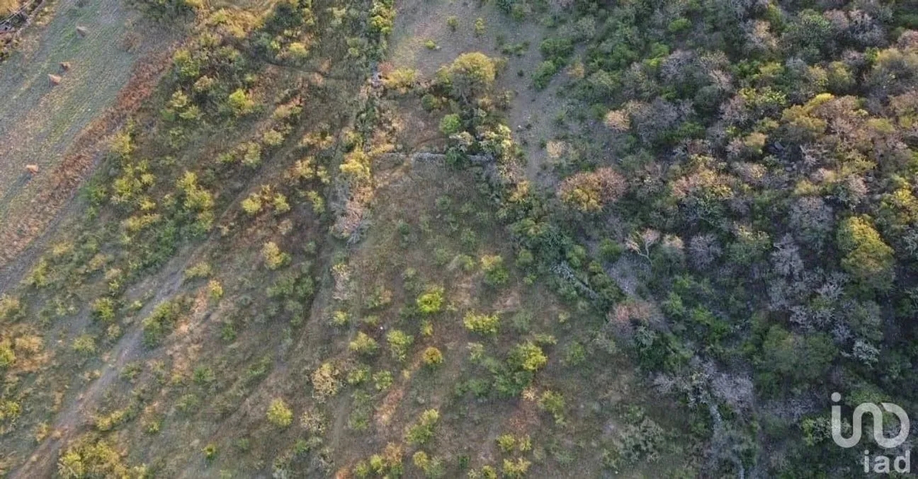 Terreno en Venta en El Vegil, Huimilpan, Querétaro | NEX-222025 | iad México | Foto 8 de 17