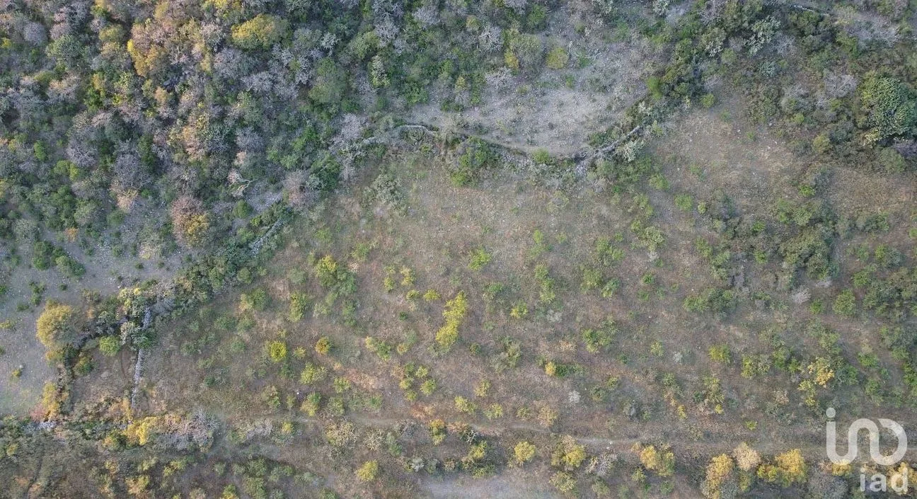 Terreno en Venta en El Vegil, Huimilpan, Querétaro | NEX-222025 | iad México | Foto 9 de 17
