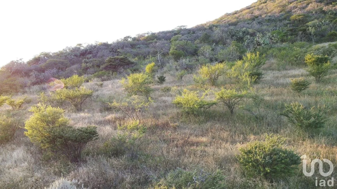 Terreno en Venta en El Vegil, Huimilpan, Querétaro | NEX-222025 | iad México | Foto 10 de 17