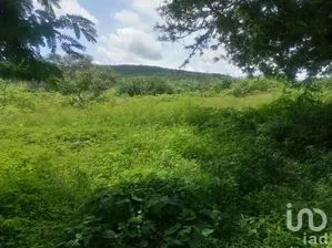 NEX-233687 - Terreno en Venta en Coaxcomac, CP 62797, Morelos.