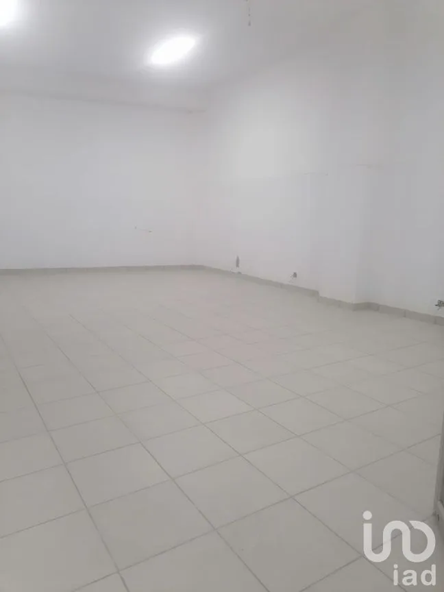 Oficina en Renta en Campestre Churubusco, Coyoacán, Ciudad de México | NEX-260888 | iad México | Foto 3 de 18