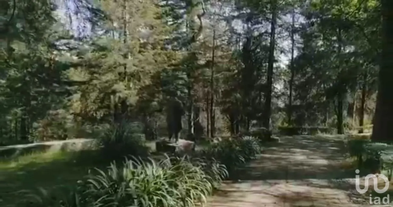 Terreno en Venta en San Miguel Xicalco, Tlalpan, Ciudad de México | NEX-262579 | iad México | Foto 4 de 20