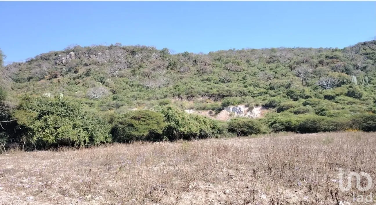Terreno en Venta en Ticumán, Tlaltizapán de Zapata, Morelos | NEX-285737 | iad México | Foto 2 de 13