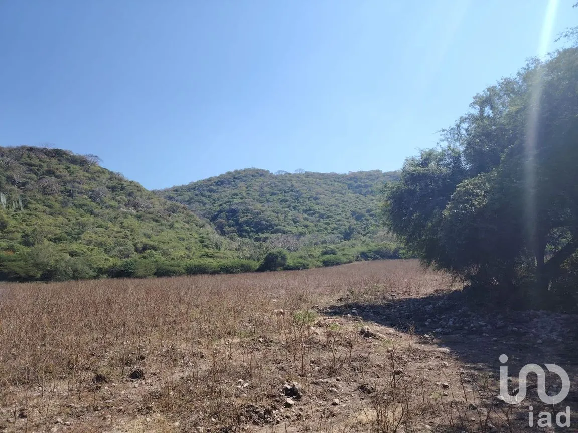 Terreno en Venta en Ticumán, Tlaltizapán de Zapata, Morelos | NEX-285737 | iad México | Foto 11 de 13