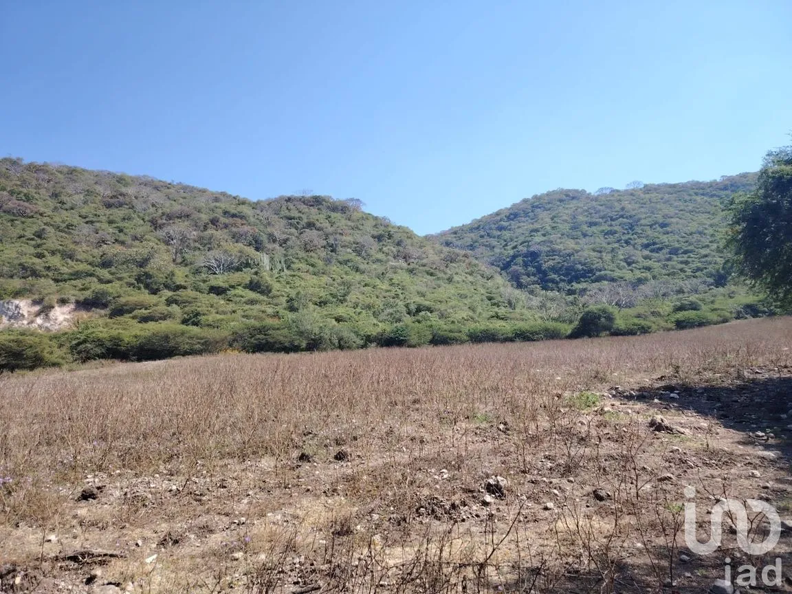 Terreno en Venta en Ticumán, Tlaltizapán de Zapata, Morelos | NEX-285737 | iad México | Foto 12 de 13