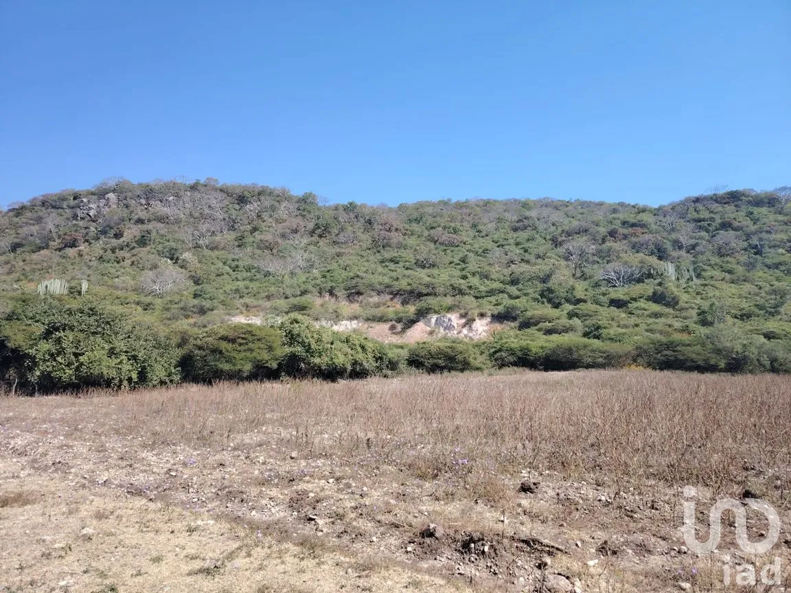 Terreno en Venta en Ticumán, Tlaltizapán de Zapata, Morelos | NEX-285737 | iad México | Foto 13 de 13