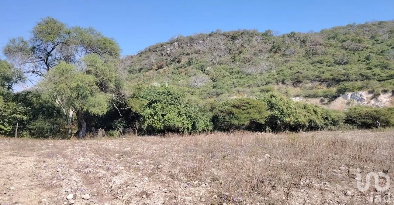Terreno en Venta en Ticumán, Tlaltizapán de Zapata, Morelos | NEX-285737 | iad México | Foto 4 de 13
