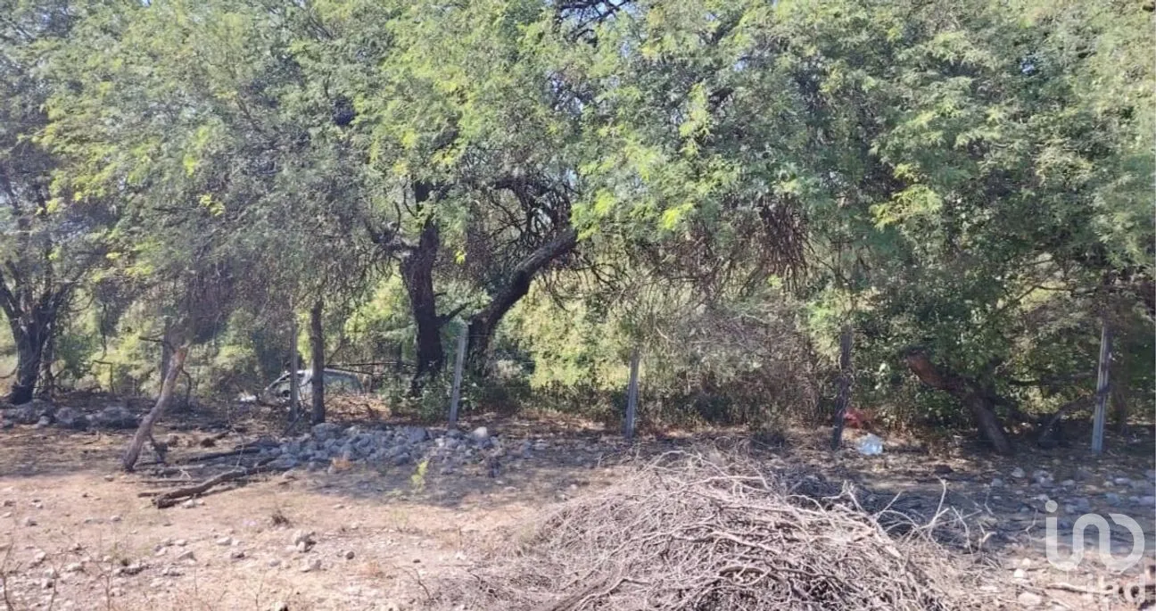 Terreno en Venta en Ticumán, Tlaltizapán de Zapata, Morelos | NEX-285737 | iad México | Foto 5 de 13