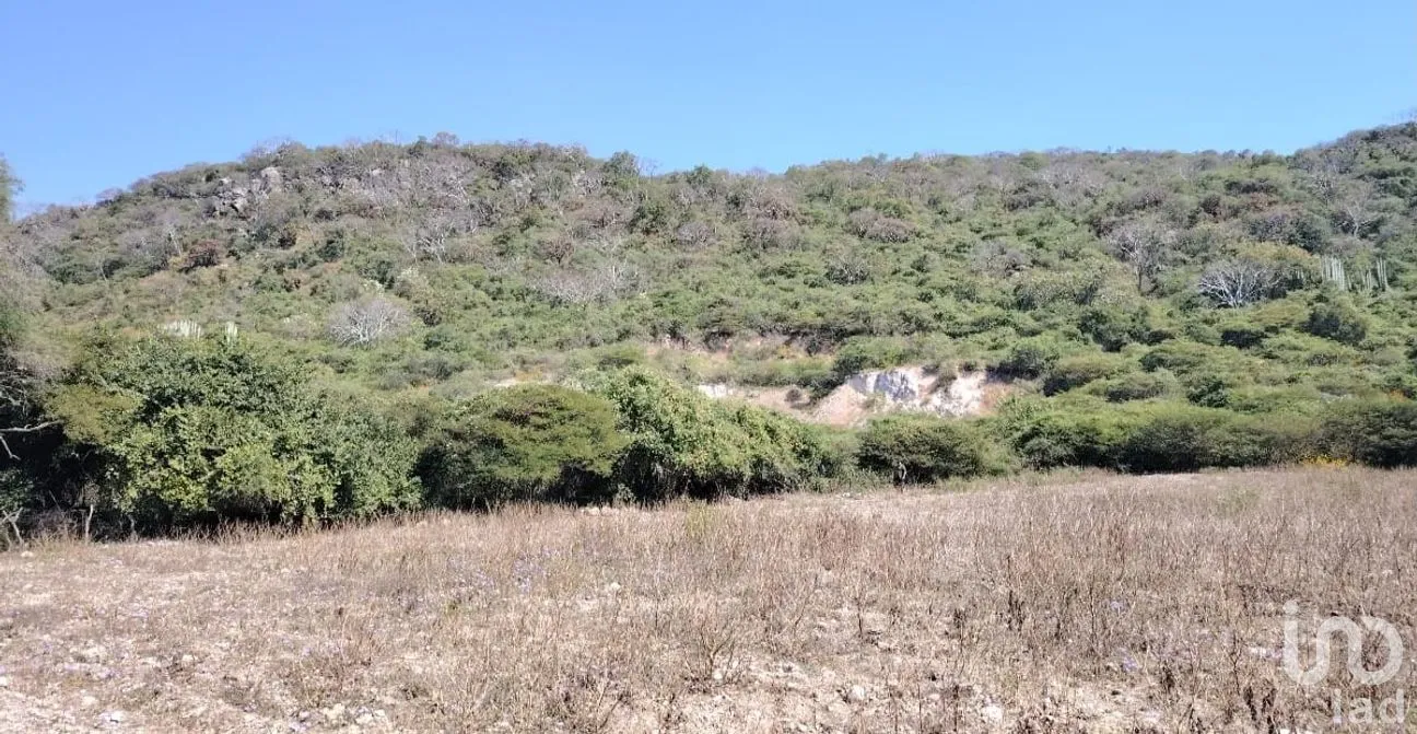 Terreno en Venta en Ticumán, Tlaltizapán de Zapata, Morelos | NEX-285737 | iad México | Foto 6 de 13