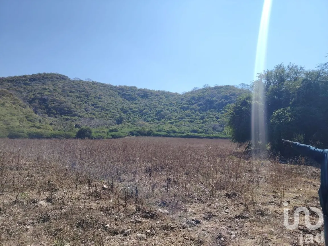 Terreno en Venta en Ticumán, Tlaltizapán de Zapata, Morelos | NEX-285737 | iad México | Foto 9 de 13