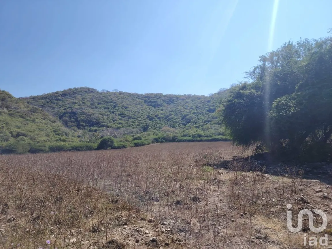 Terreno en Venta en Ticumán, Tlaltizapán de Zapata, Morelos | NEX-285737 | iad México | Foto 10 de 13