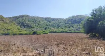 NEX-285737 - Terreno en Venta en Ticumán, CP 62773, Morelos.