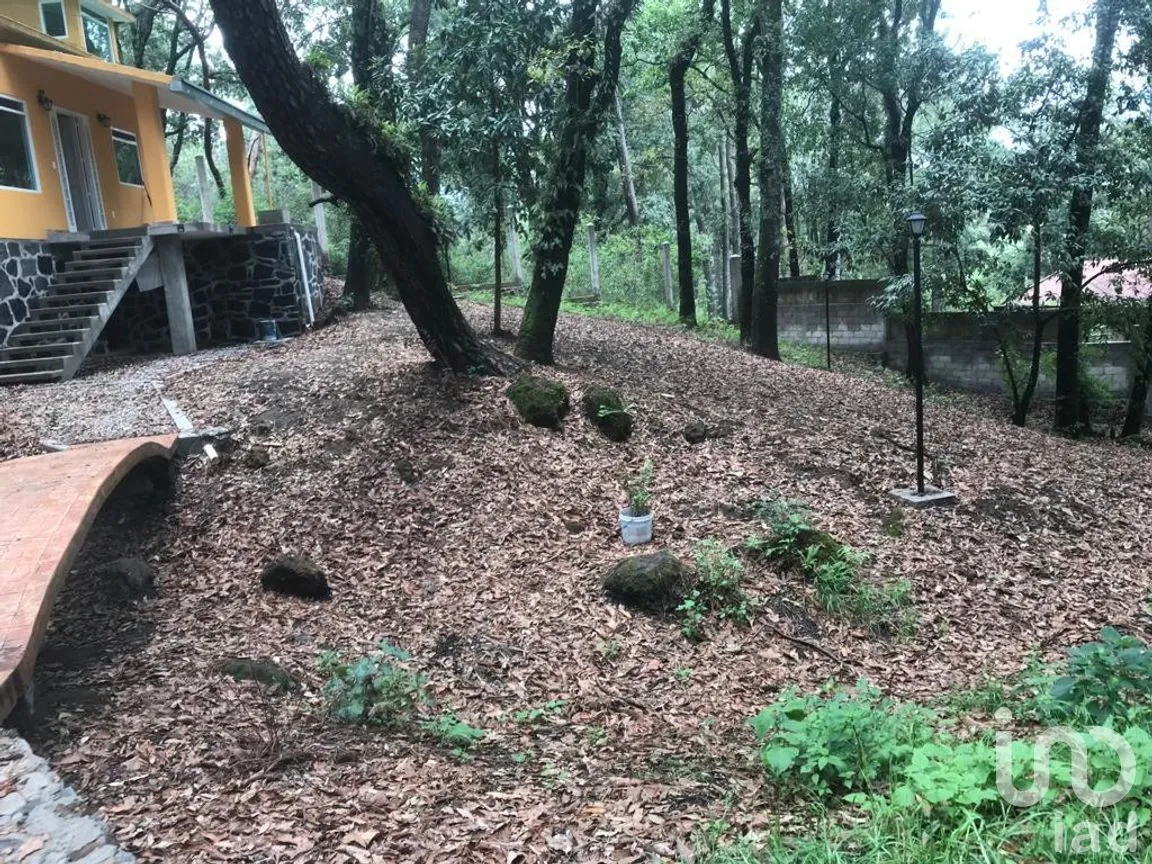 Casa en Venta en Monte Casino (Piamonte y Ensueño), Huitzilac, Morelos | NEX-289801 | iad México | Foto 16 de 22
