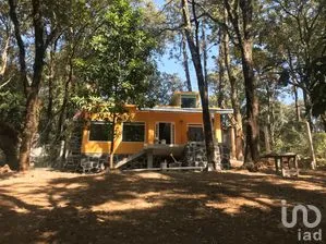 NEX-289801 - Casa en Venta, con 2 recamaras, con 1 baño, con 150 m2 de construcción en Monte Casino (Piamonte y Ensueño), CP 62517, Morelos.