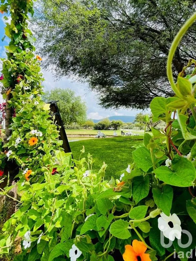 Departamento en Venta en Alfredo V. Bonfil (Los Pérez), Ezequiel Montes, Querétaro | NEX-184733 | iad México | Foto 7 de 12