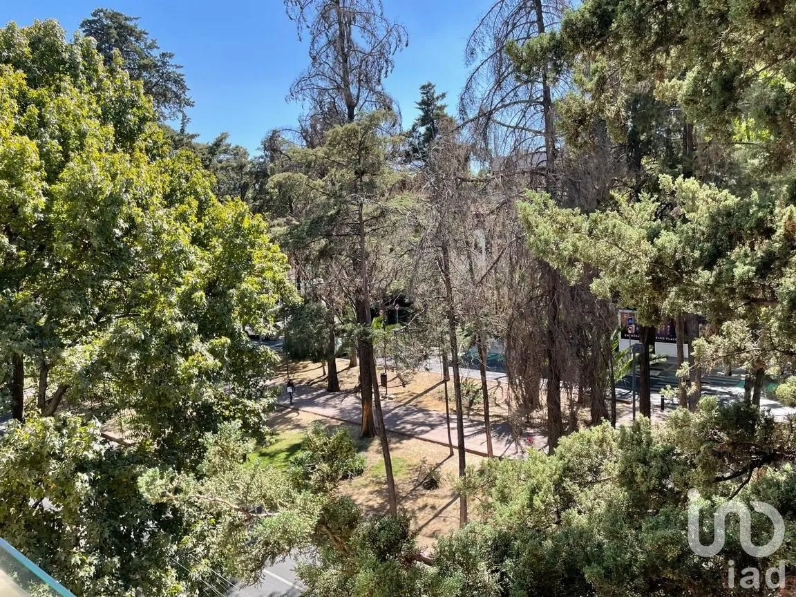 Departamento en Venta en Polanco III Sección, Miguel Hidalgo, Ciudad de México | NEX-189592 | iad México | Foto 34 de 35