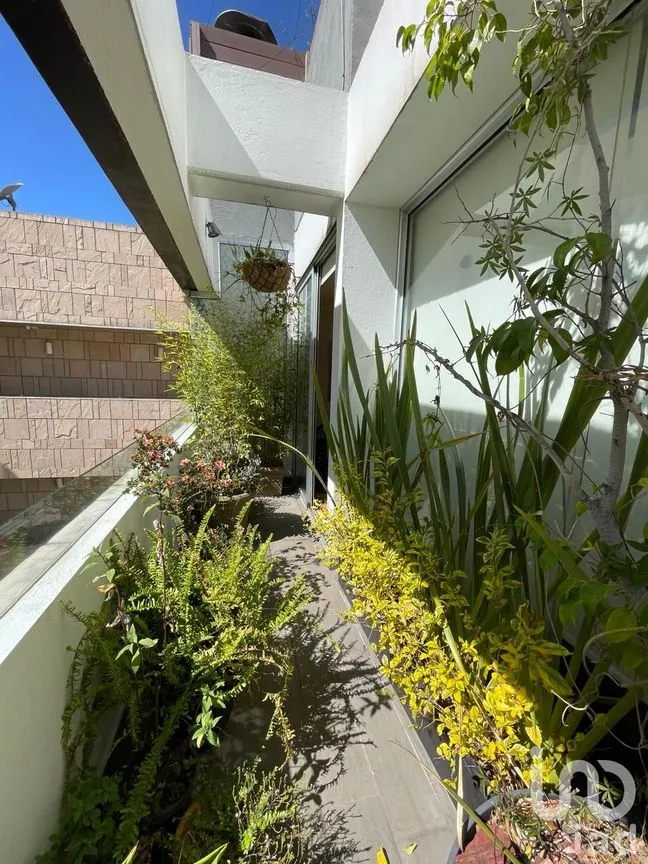 Departamento en Venta en Polanco III Sección, Miguel Hidalgo, Ciudad de México | NEX-189592 | iad México | Foto 9 de 35