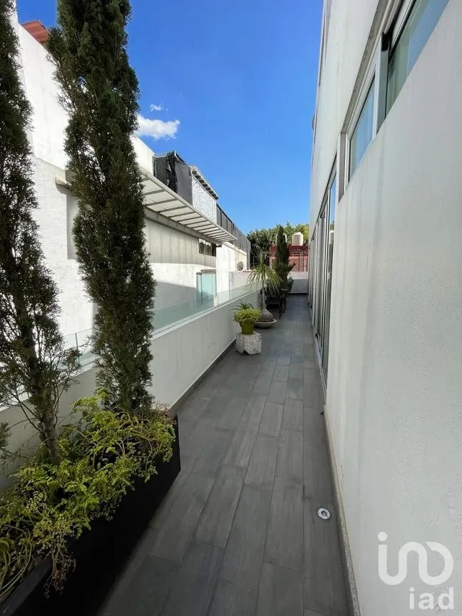 Departamento en Venta en Polanco III Sección, Miguel Hidalgo, Ciudad de México | NEX-189592 | iad México | Foto 10 de 35