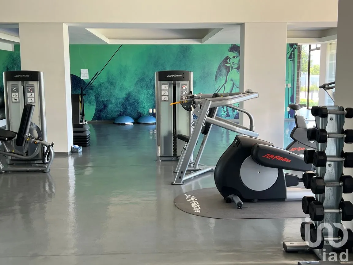 Departamento en Renta en Lomas de Angelópolis, San Andrés Cholula, Puebla | NEX-256691 | iad México | Foto 14 de 24