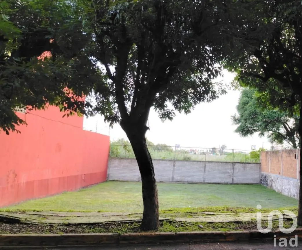 Terreno en Venta en Concepción Sur, Puebla, Puebla | NEX-265889 | iad México | Foto 6 de 6