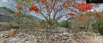 NEX-179426 - Terreno en Venta en Las Granjas, CP 29019, Chiapas.