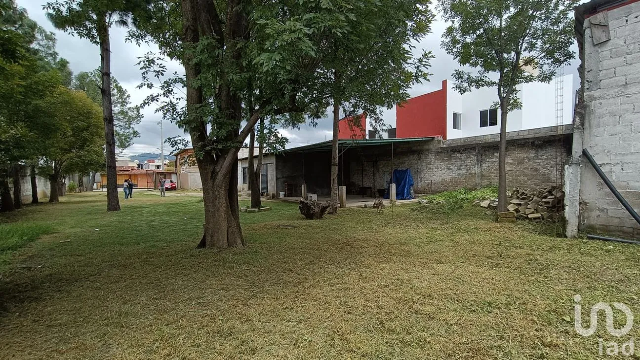 Terreno en Renta en Bismark, San Cristóbal de las Casas, Chiapas | NEX-184471 | iad México | Foto 5 de 7