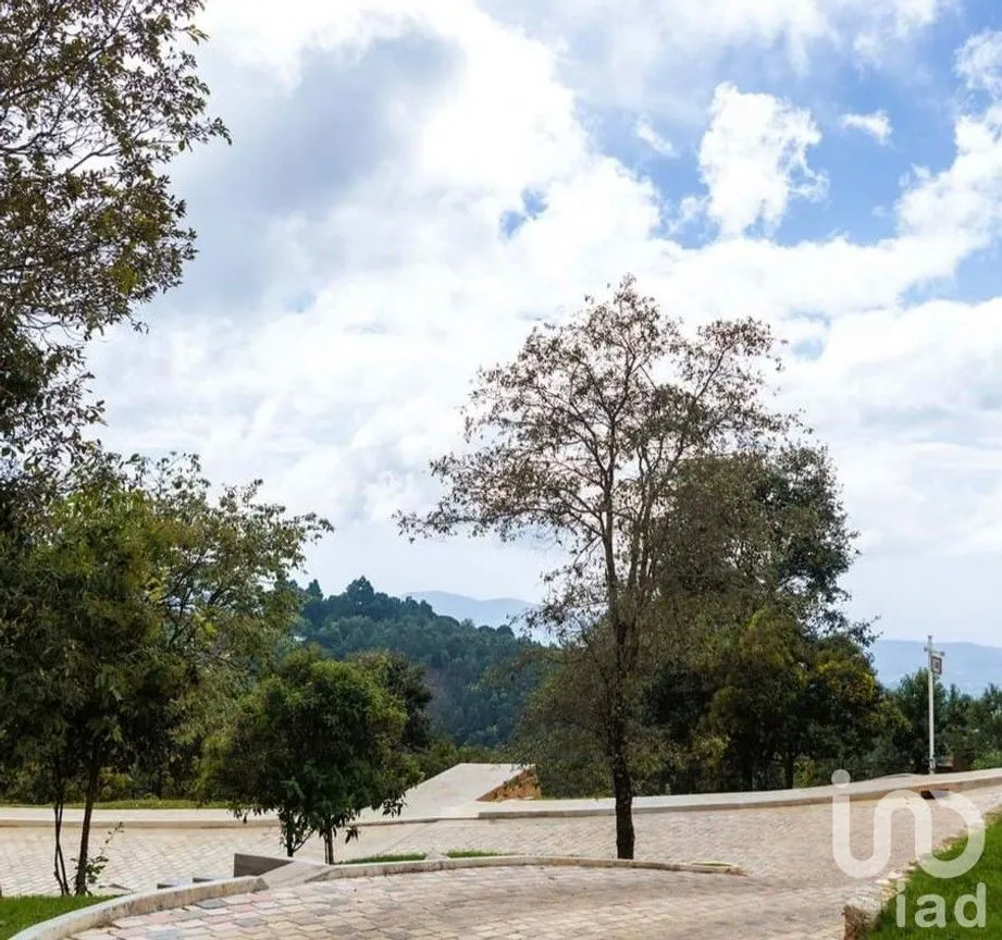 Terreno en Venta en Zacualpan de Ecatepec, San Cristóbal de las Casas, Chiapas | NEX-198802 | iad México | Foto 5 de 8