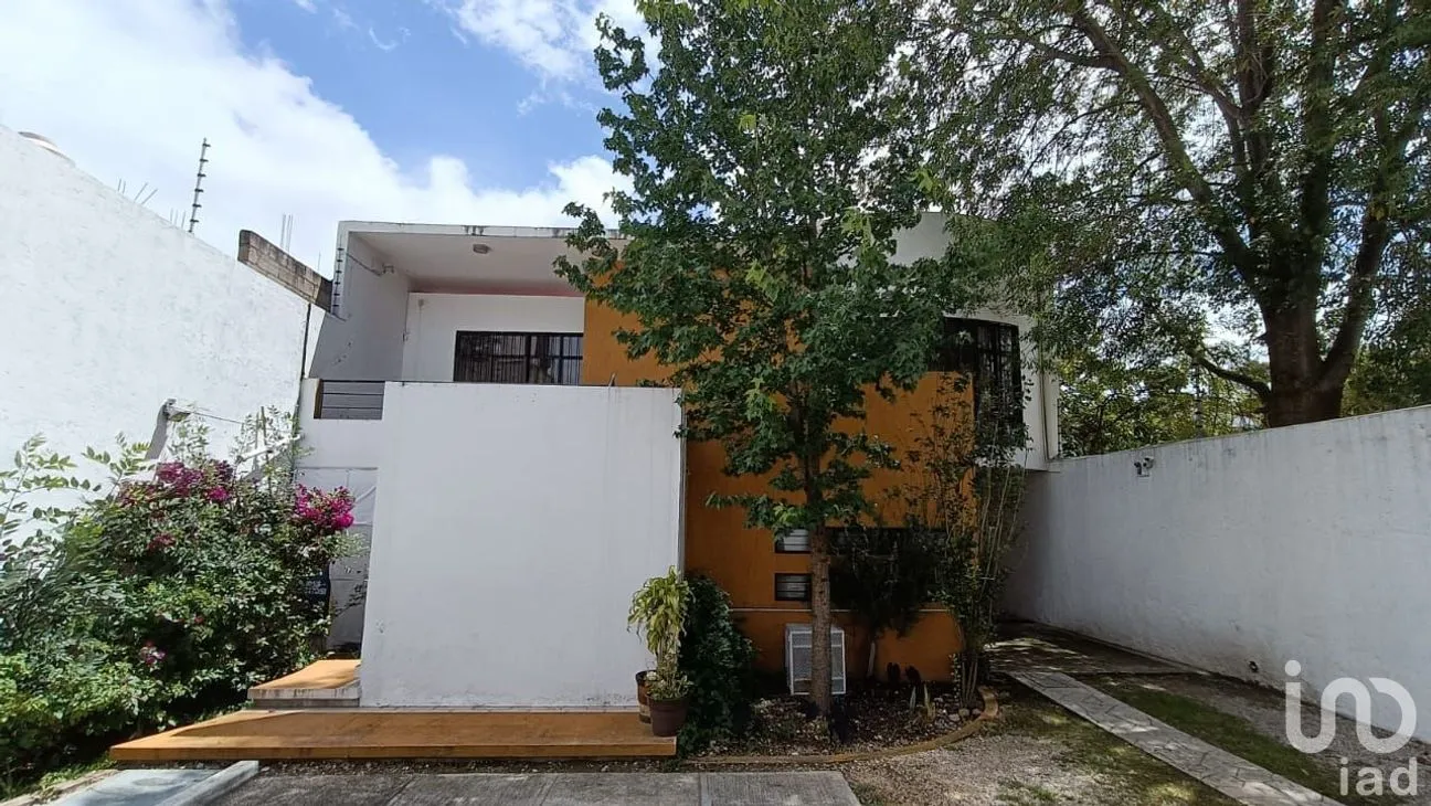 Oficina en Renta en Santa Lucia, San Cristóbal de las Casas, Chiapas | NEX-234441 | iad México | Foto 10 de 12
