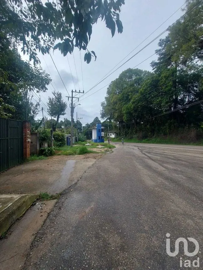 Terreno en Venta en San Martín, San Cristóbal de las Casas, Chiapas | NEX-234852 | iad México | Foto 6 de 6