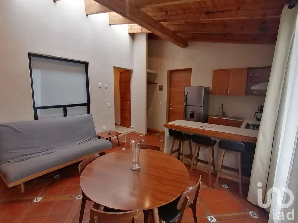 Departamento en Renta en Santa Lucia, San Cristóbal de las Casas, Chiapas | NEX-251515 | iad México | Foto 3 de 12