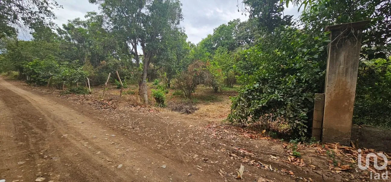 Terreno en Venta en Independencia 2000, Chiapa de Corzo, Chiapas | NEX-264640 | iad México | Foto 3 de 9