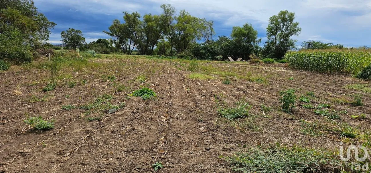 Terreno en Venta en Independencia 2000, Chiapa de Corzo, Chiapas | NEX-264640 | iad México | Foto 4 de 9