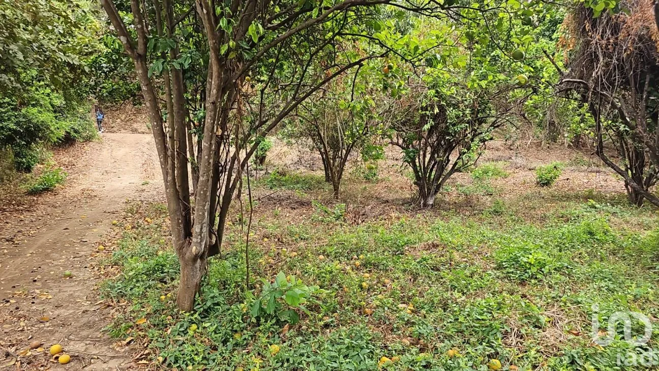 Terreno en Venta en Independencia 2000, Chiapa de Corzo, Chiapas | NEX-264640 | iad México | Foto 5 de 9