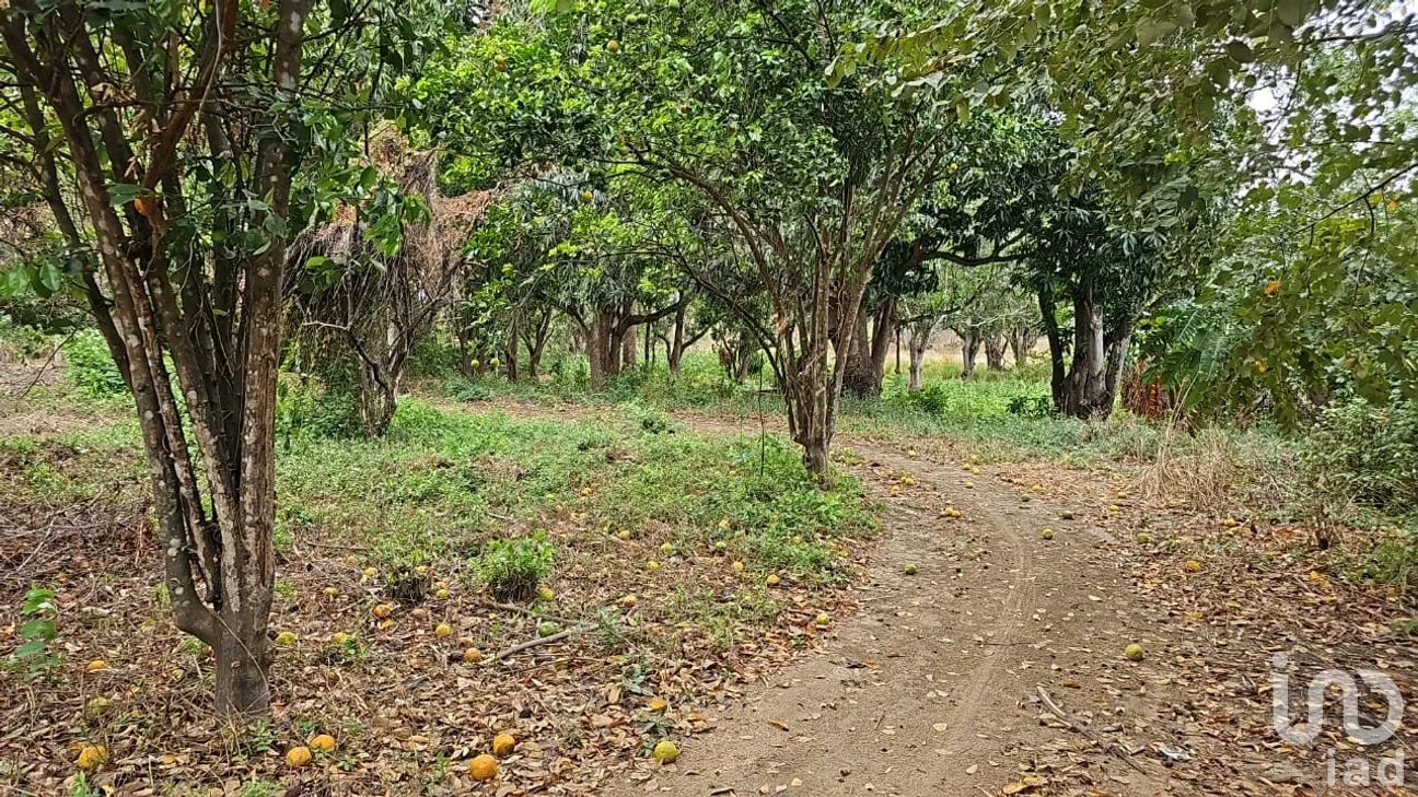 Terreno en Venta en Independencia 2000, Chiapa de Corzo, Chiapas | NEX-264640 | iad México | Foto 6 de 9