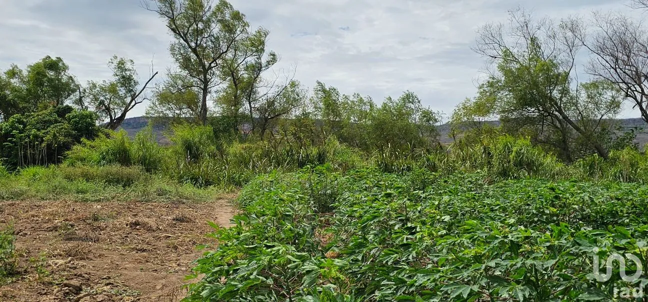 Terreno en Venta en Independencia 2000, Chiapa de Corzo, Chiapas | NEX-264640 | iad México | Foto 7 de 9