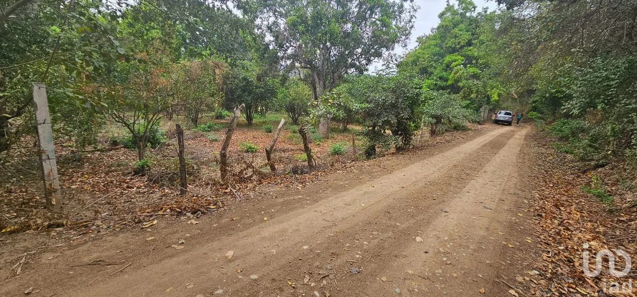 Terreno en Venta en Independencia 2000, Chiapa de Corzo, Chiapas | NEX-264640 | iad México | Foto 8 de 9