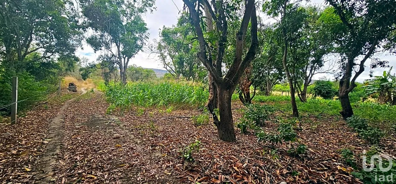 Terreno en Venta en Independencia 2000, Chiapa de Corzo, Chiapas | NEX-264640 | iad México | Foto 1 de 9