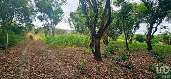 NEX-264640 - Terreno en Venta en Independencia 2000, CP 29163, Chiapas.